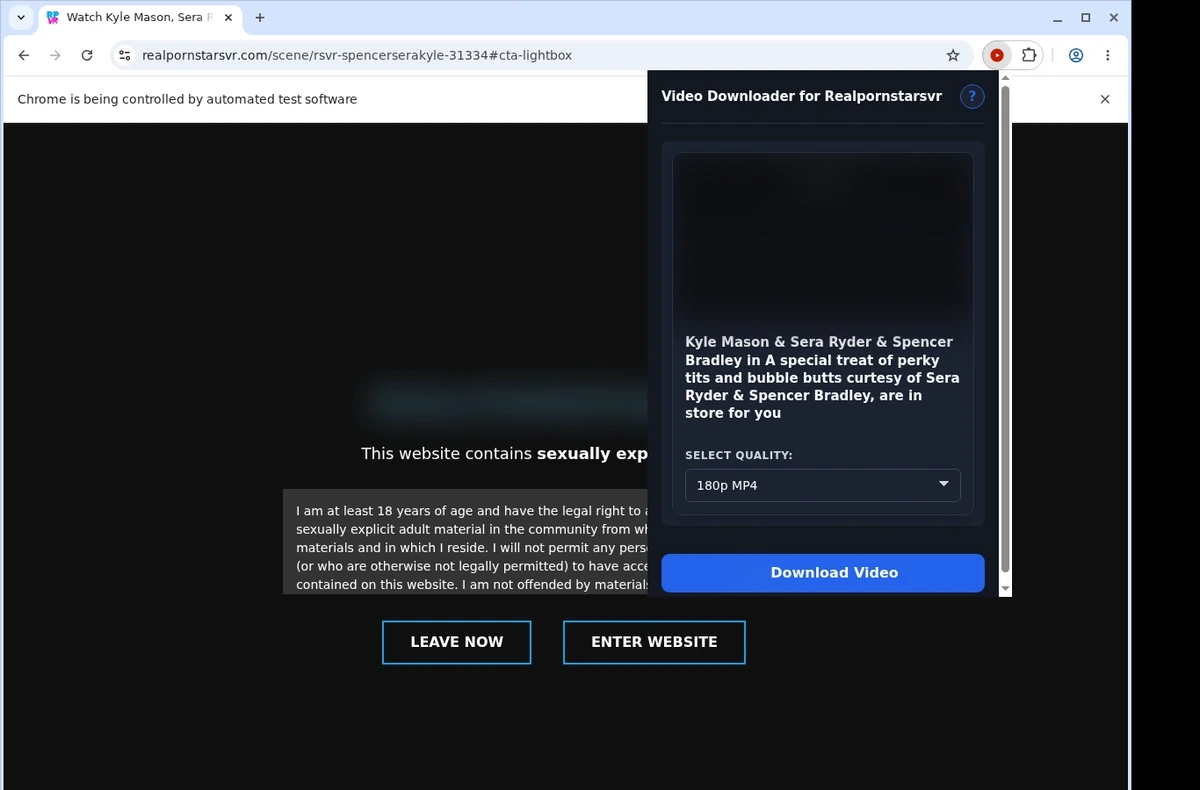 RealPornstarsVR Video Downloader ready state screenshot