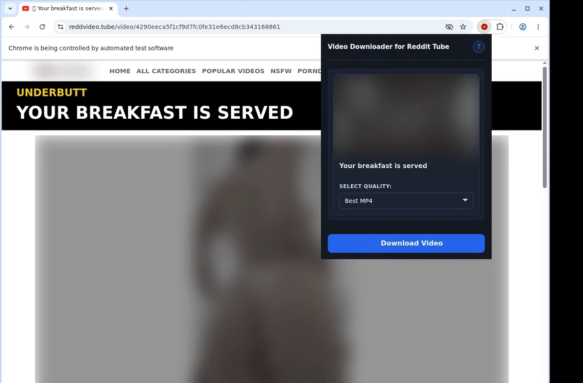 Reddit Tube Video Downloader ready state screenshot