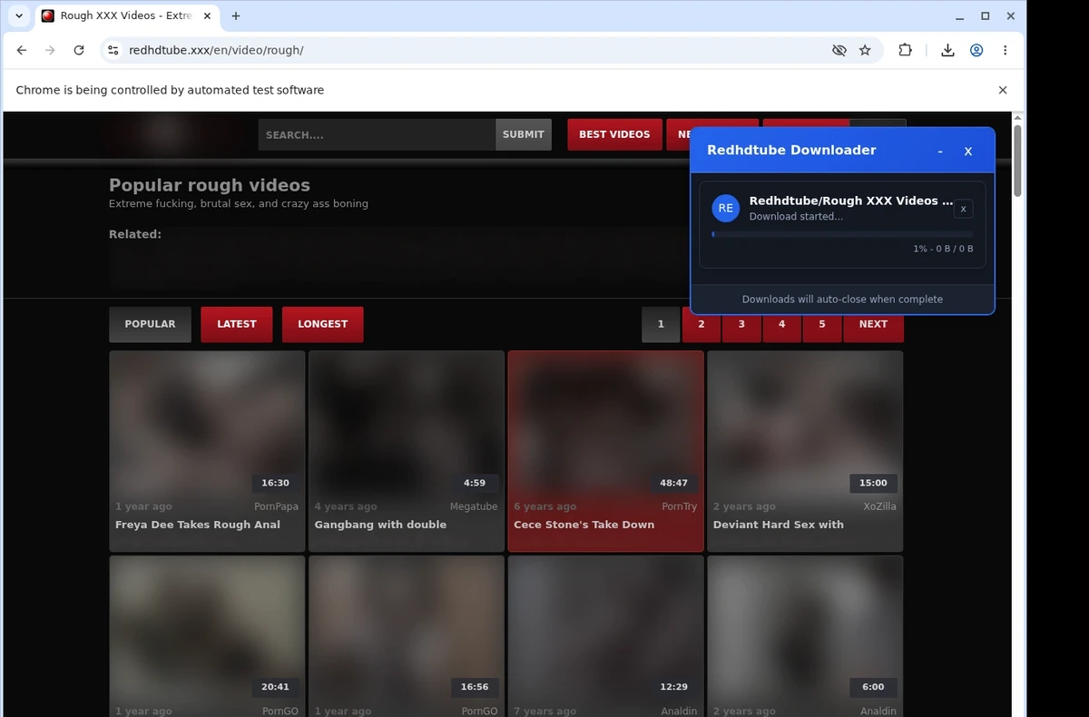 Redhdtube Downloader ready state screenshot