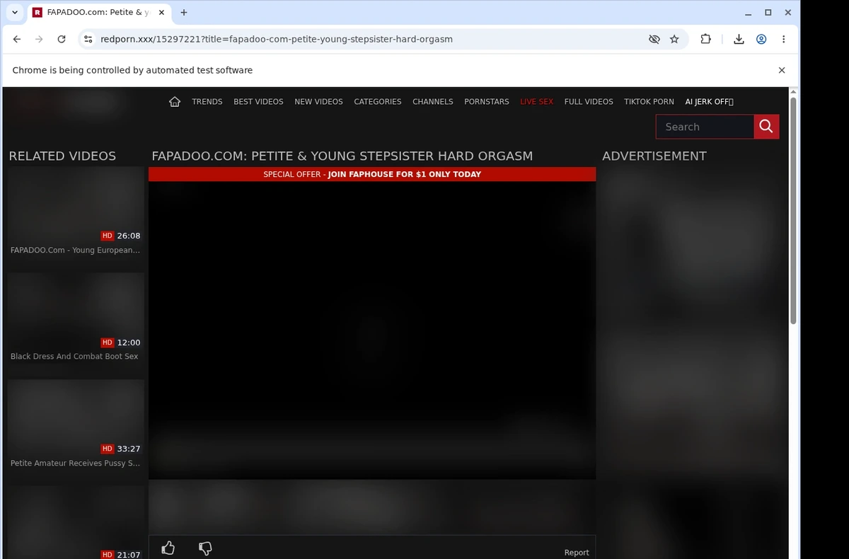 RedPorn Video Downloader ready state screenshot