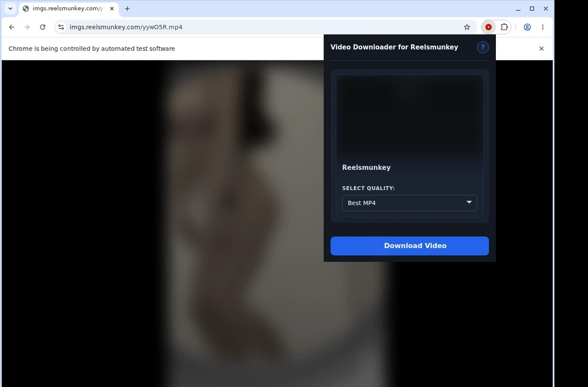ReelsMunkey Video Downloader ready state screenshot