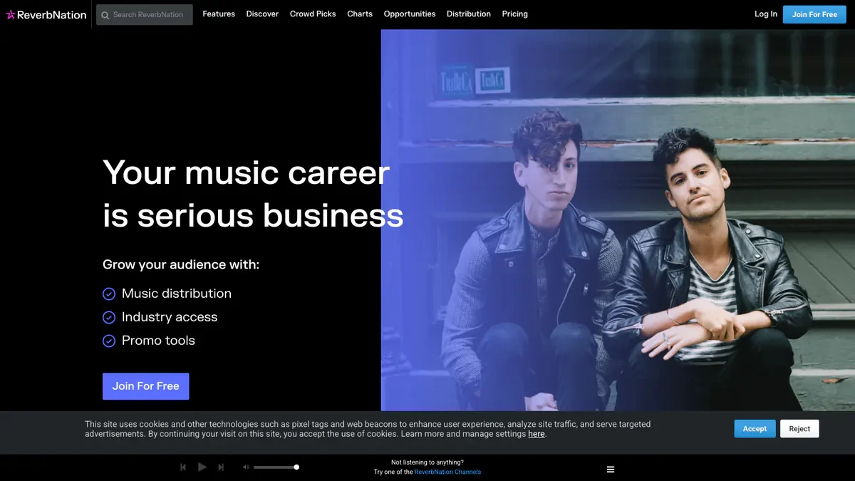 ReverbNation Downloader website preview