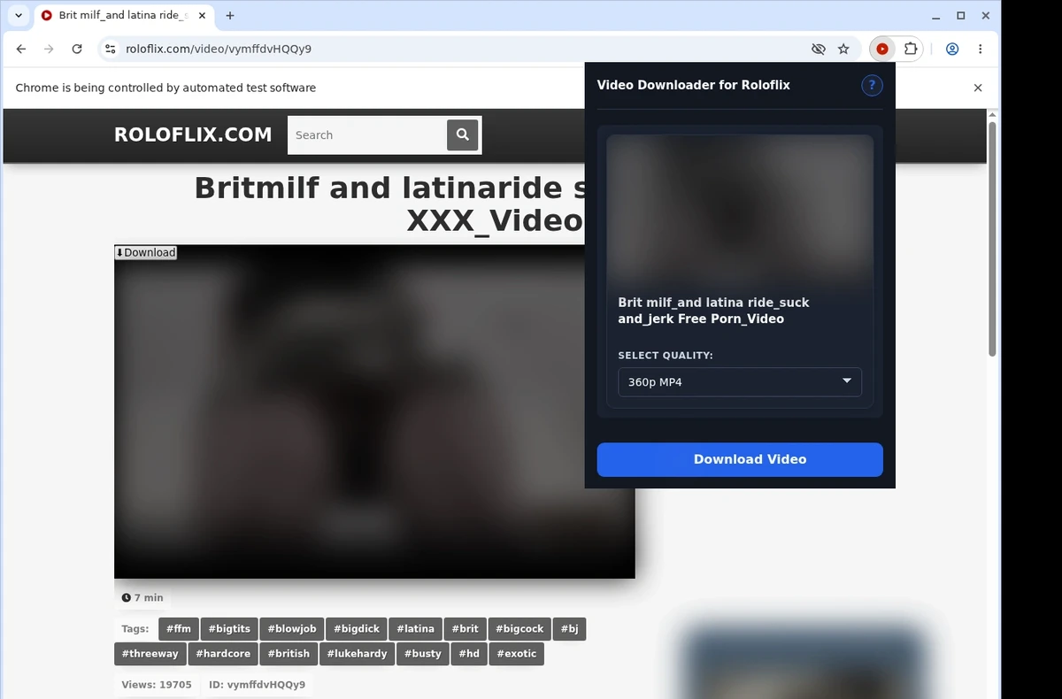 RoloFlix Video Downloader ready state screenshot