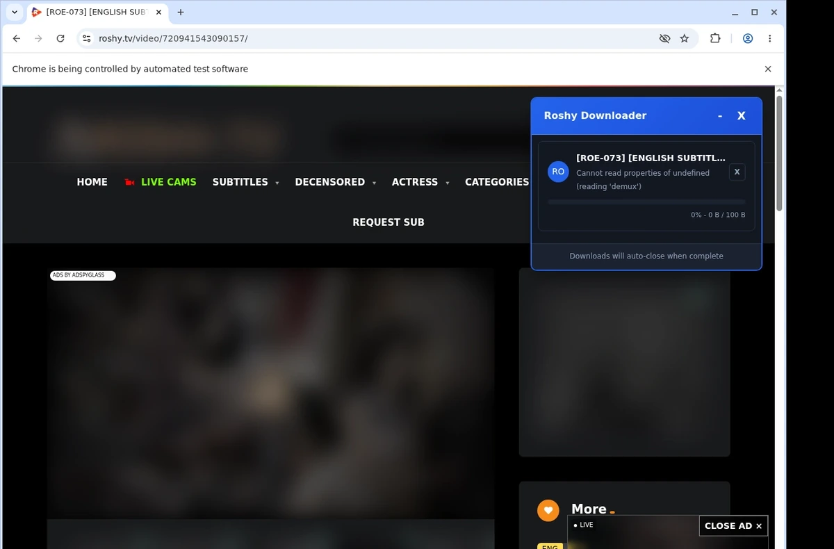 Roshy Video Downloader ready state screenshot