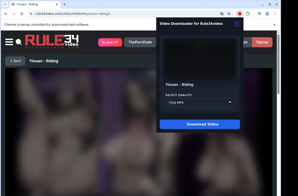 Rule34Video Video Downloader ready state screenshot