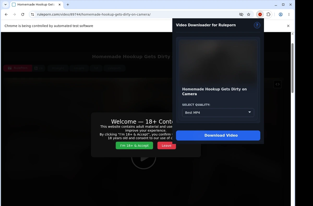 RulePorn Video Downloader ready state screenshot