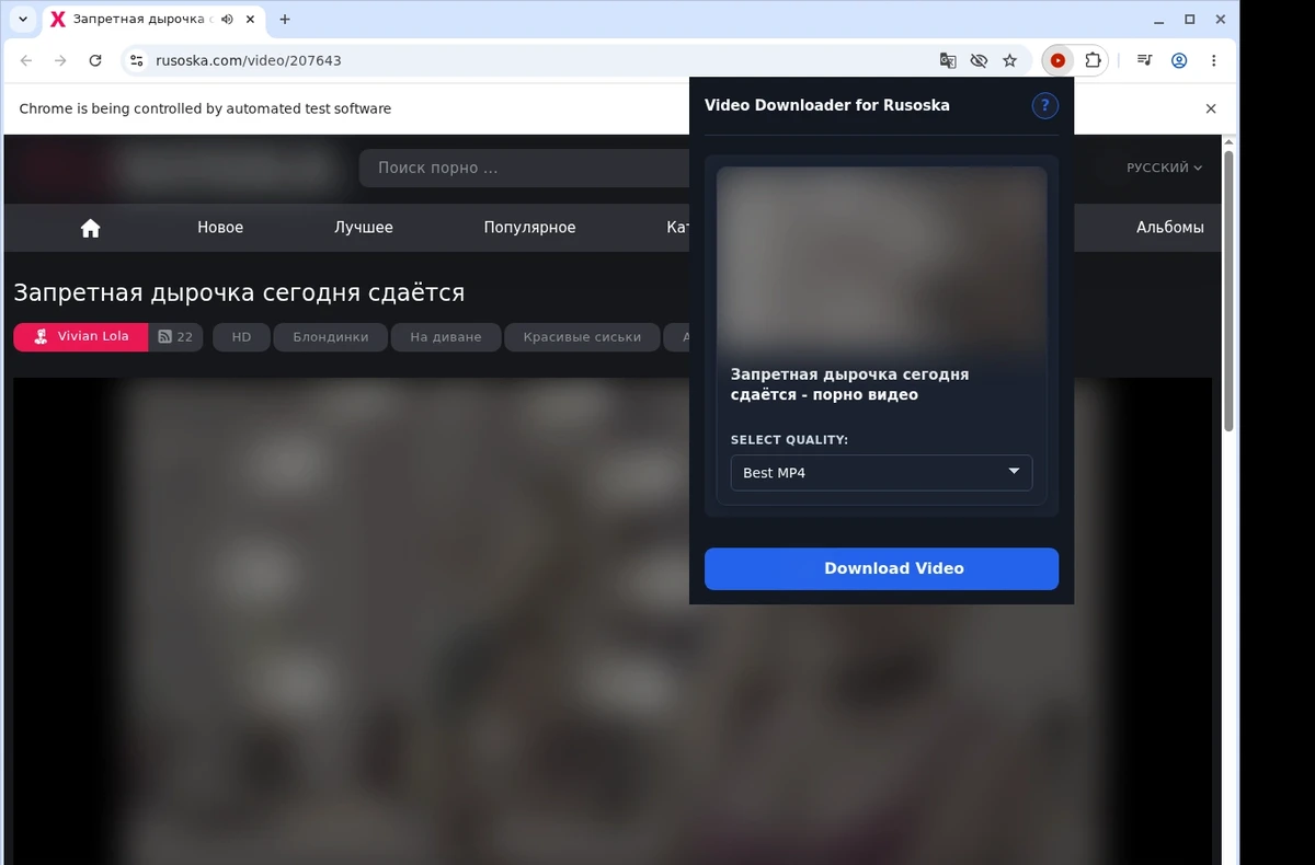 Rusoska Video Downloader ready state screenshot