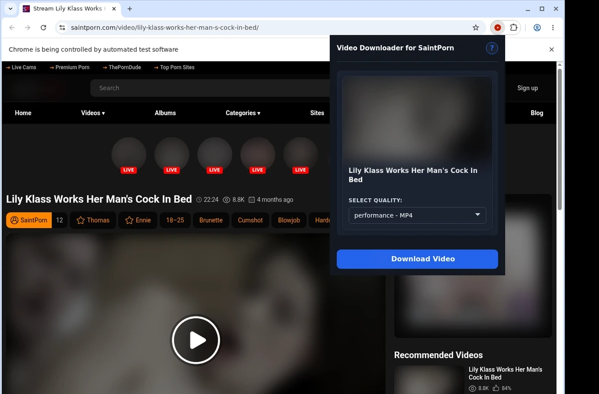 SaintPorn Video Downloader ready state screenshot