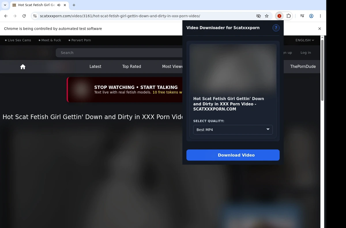 ScatXXXPorn Video Downloader ready state screenshot