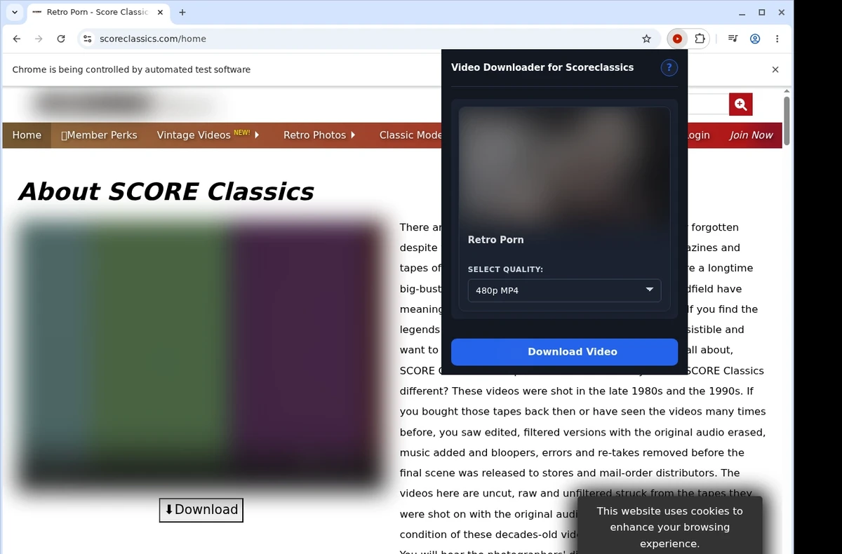 ScoreClassics Video Downloader ready state screenshot