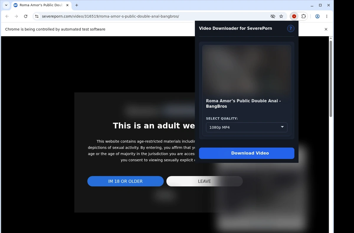 SeverePorn Video Downloader ready state screenshot