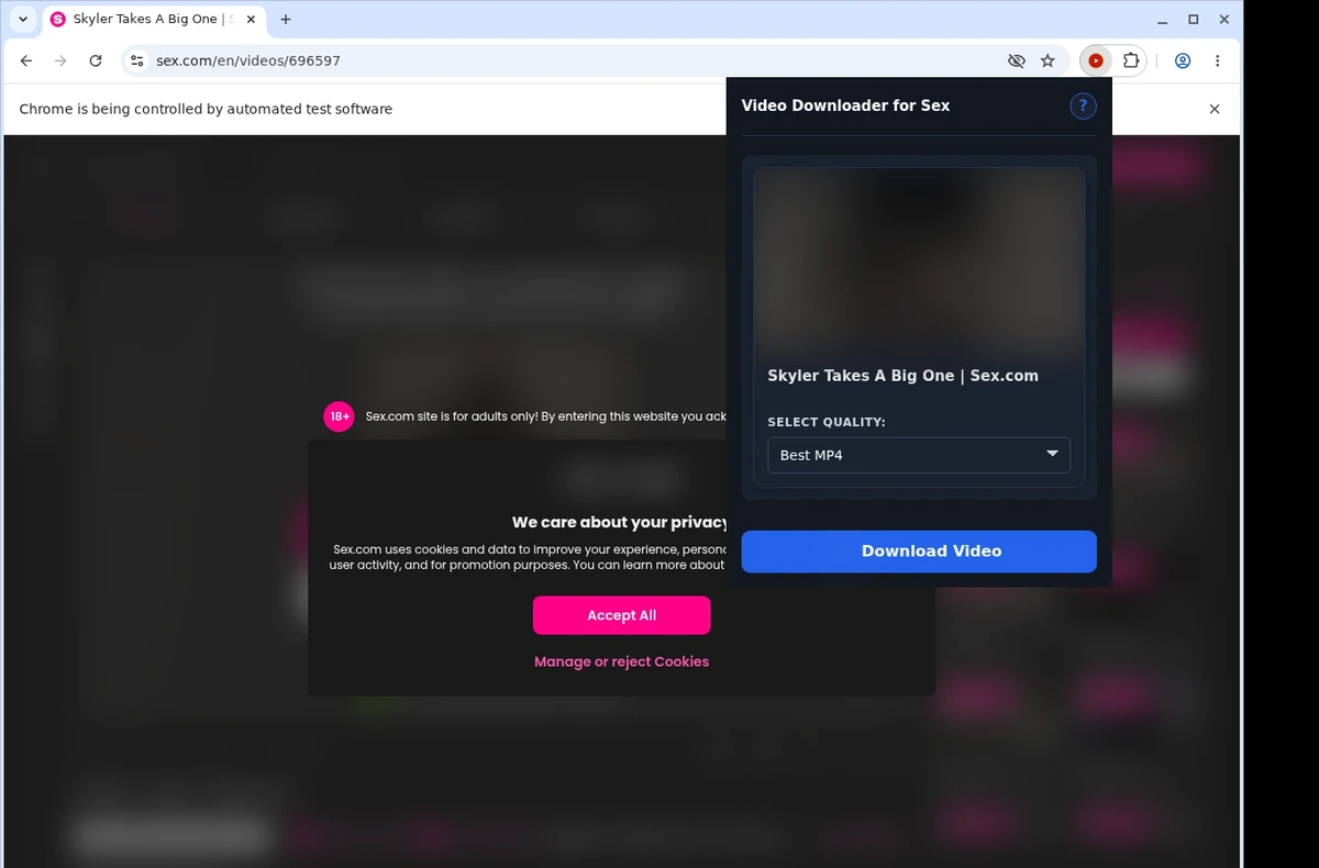 Sex.com Video Downloader ready state screenshot