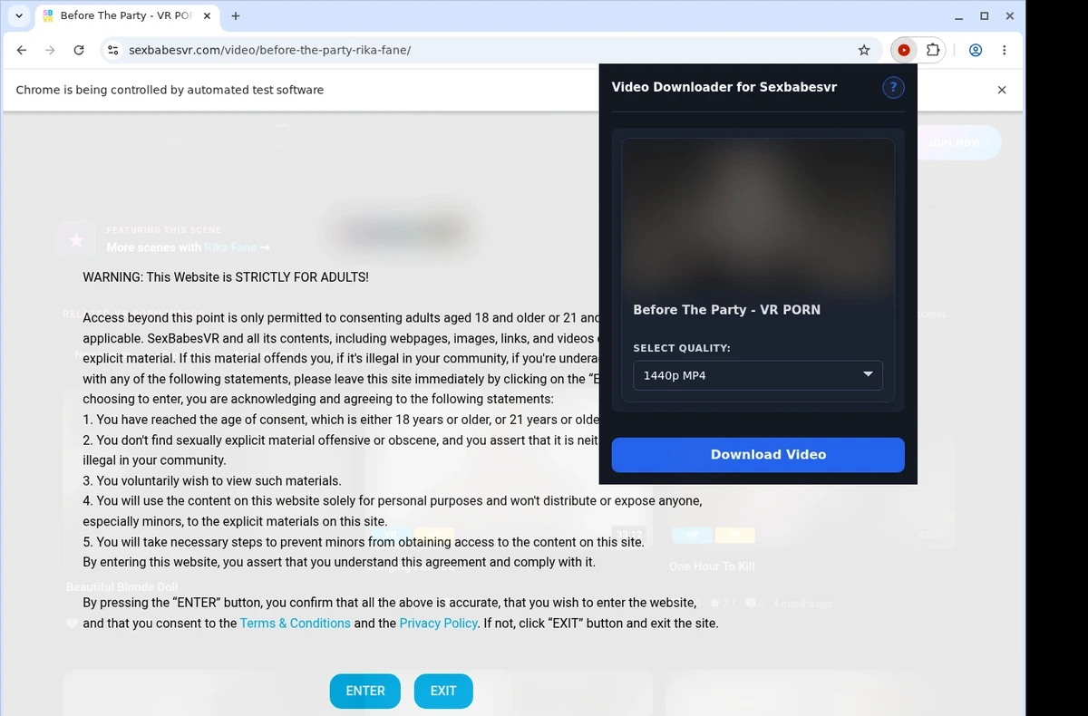 SexBabesVR Video Downloader ready state screenshot