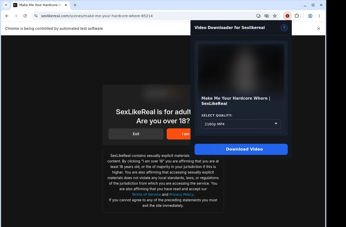 SexLikeReal Video Downloader ready state screenshot