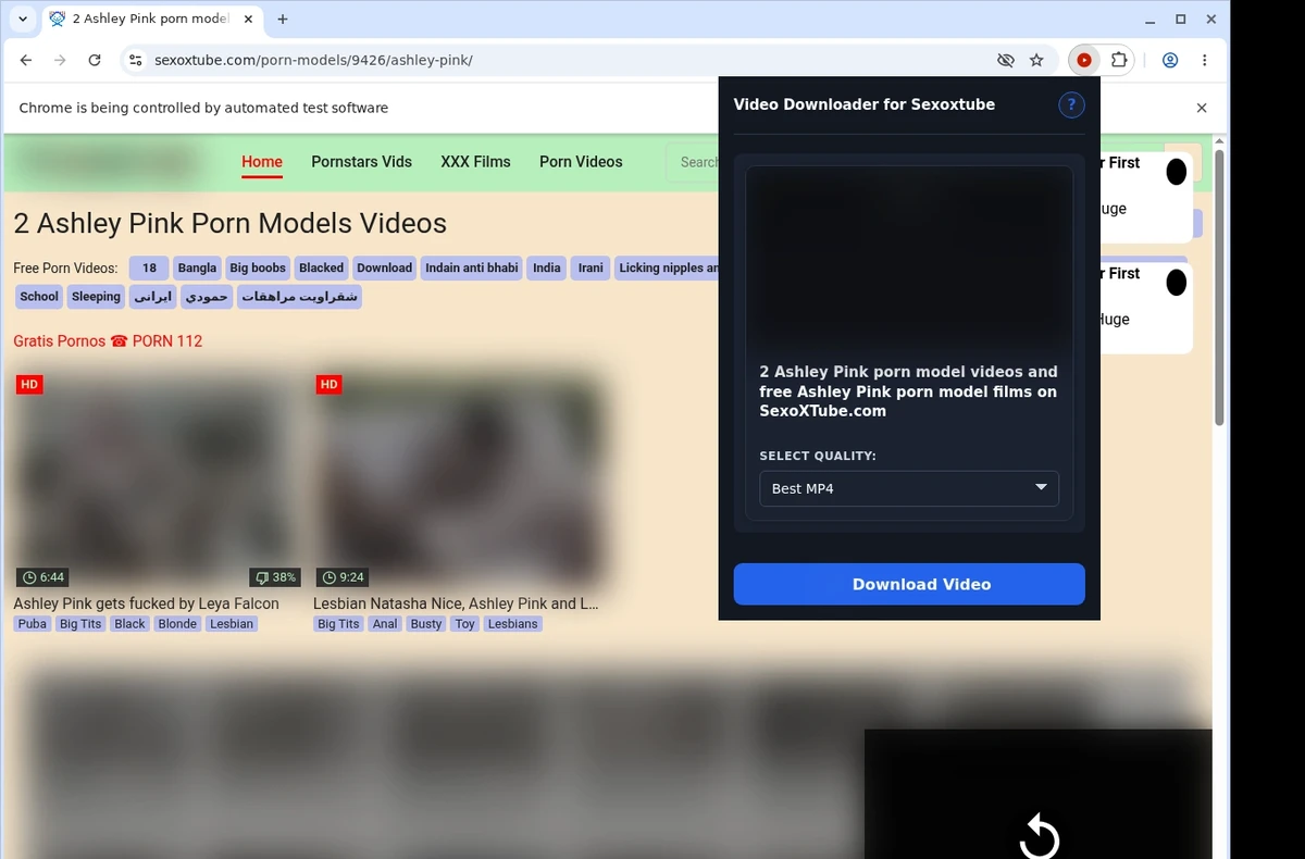 Sexoxtube Video Downloader ready state screenshot