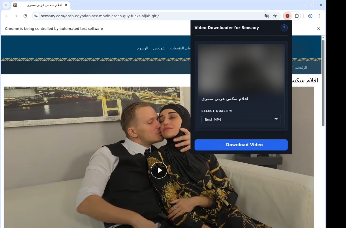 SexSaoy Video Downloader ready state screenshot