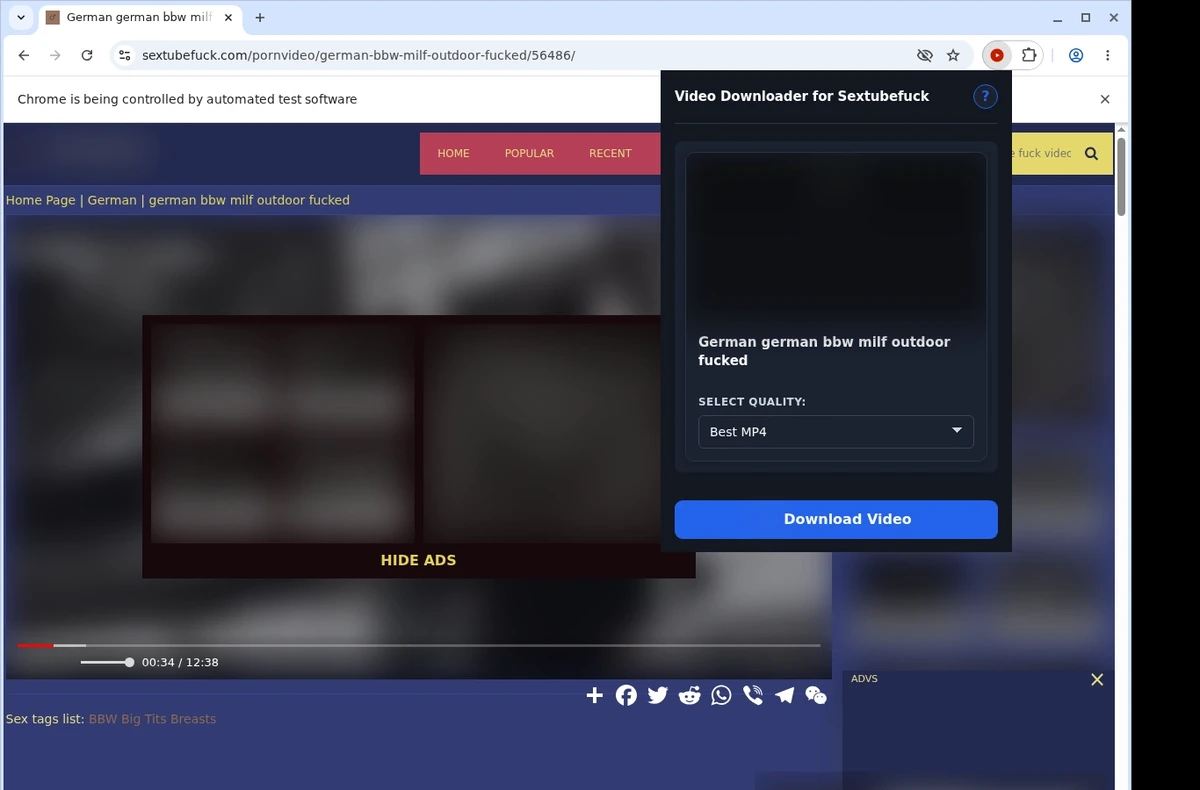 SextubeFuck Video Downloader ready state screenshot