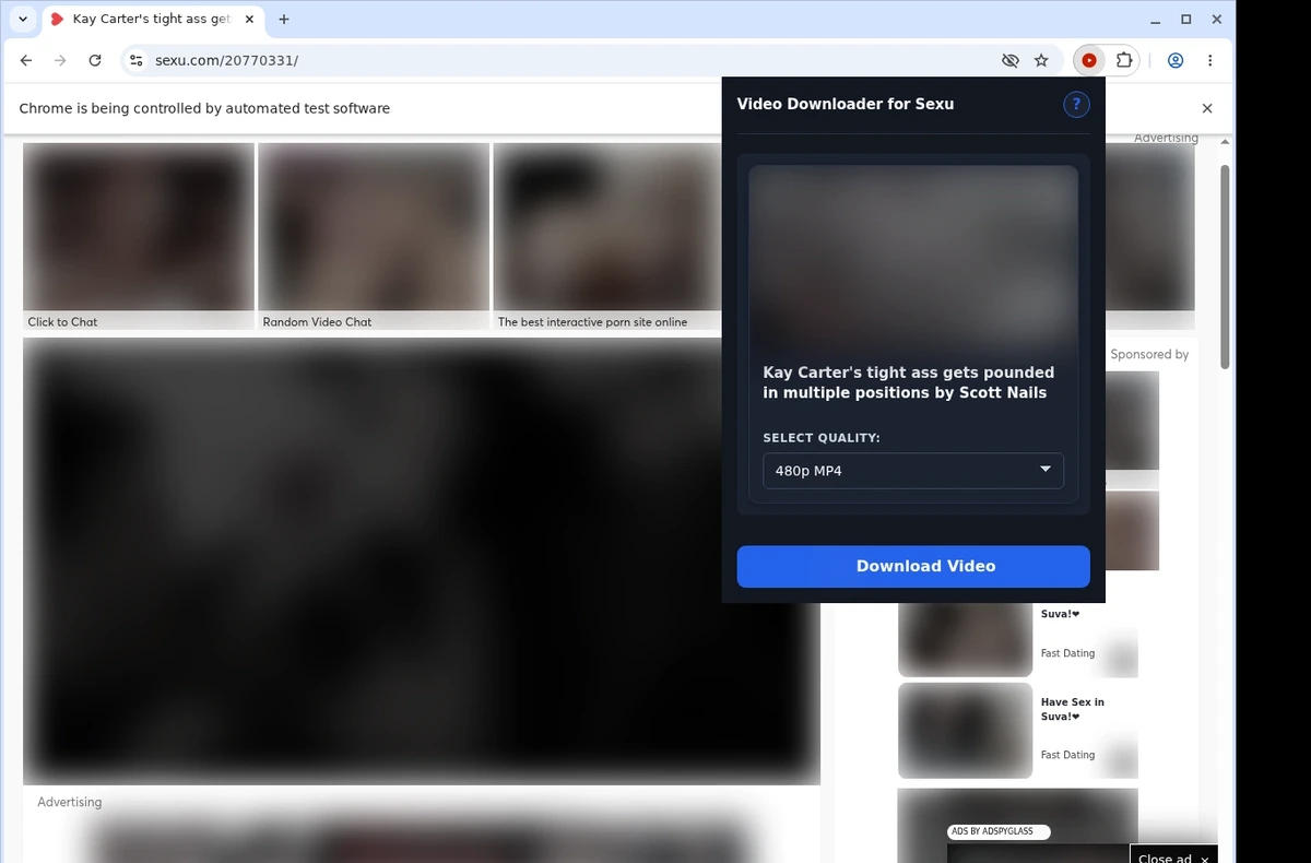 Sexu Downloader ready state screenshot