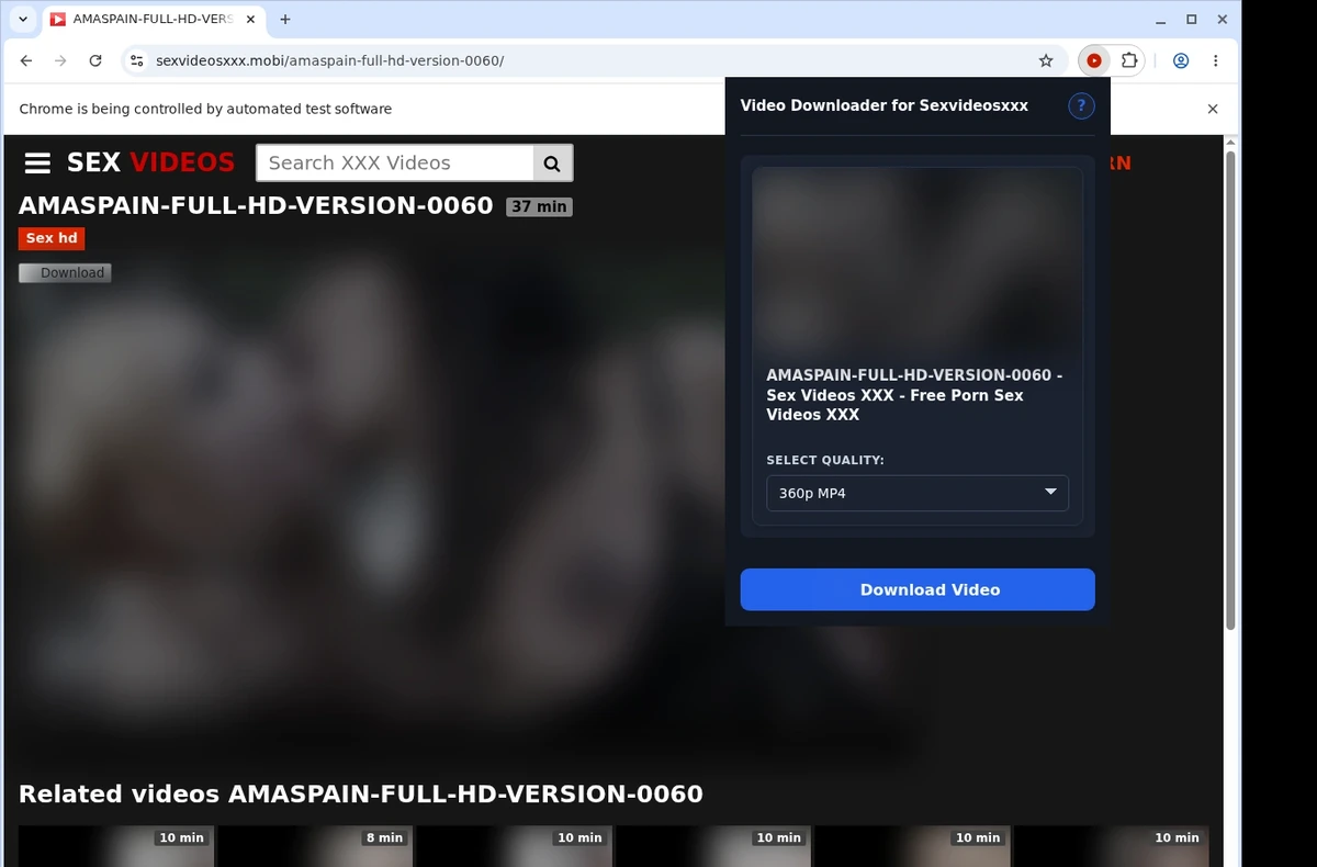 Sexvideosxxx Video Downloader ready state screenshot