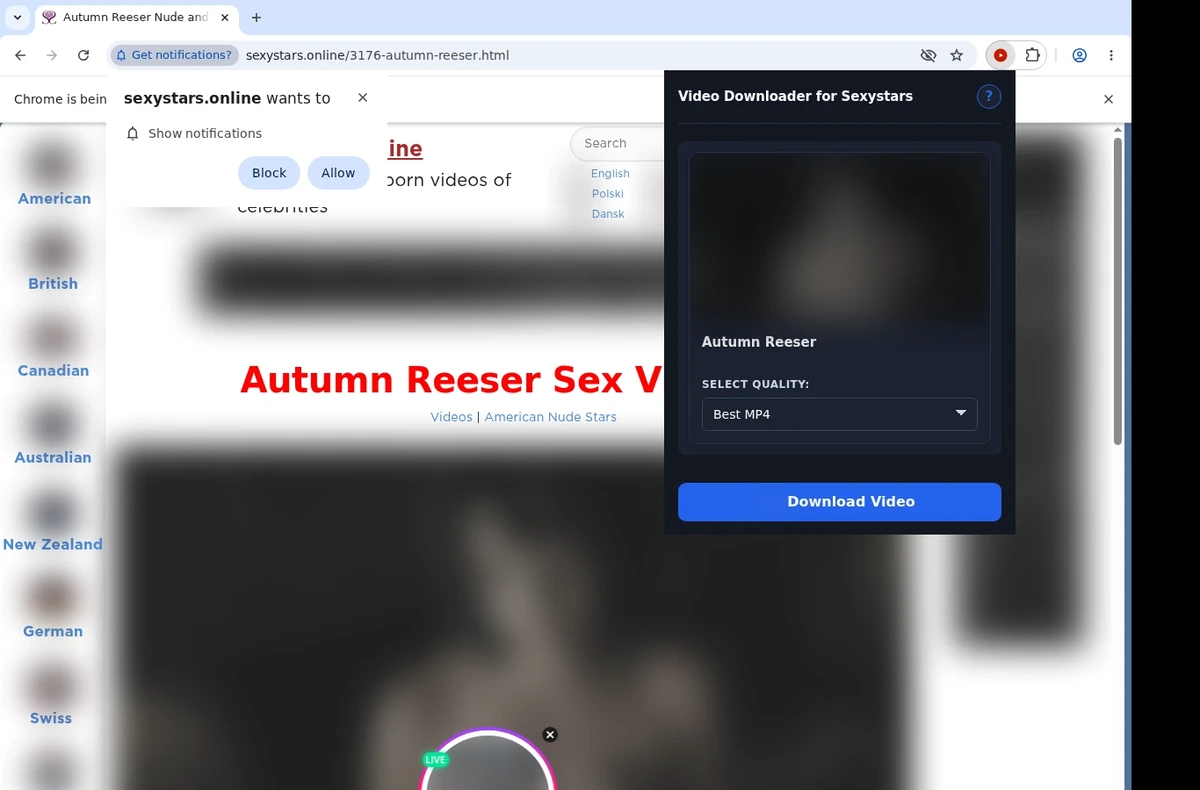 SexyStars Video Downloader ready state screenshot