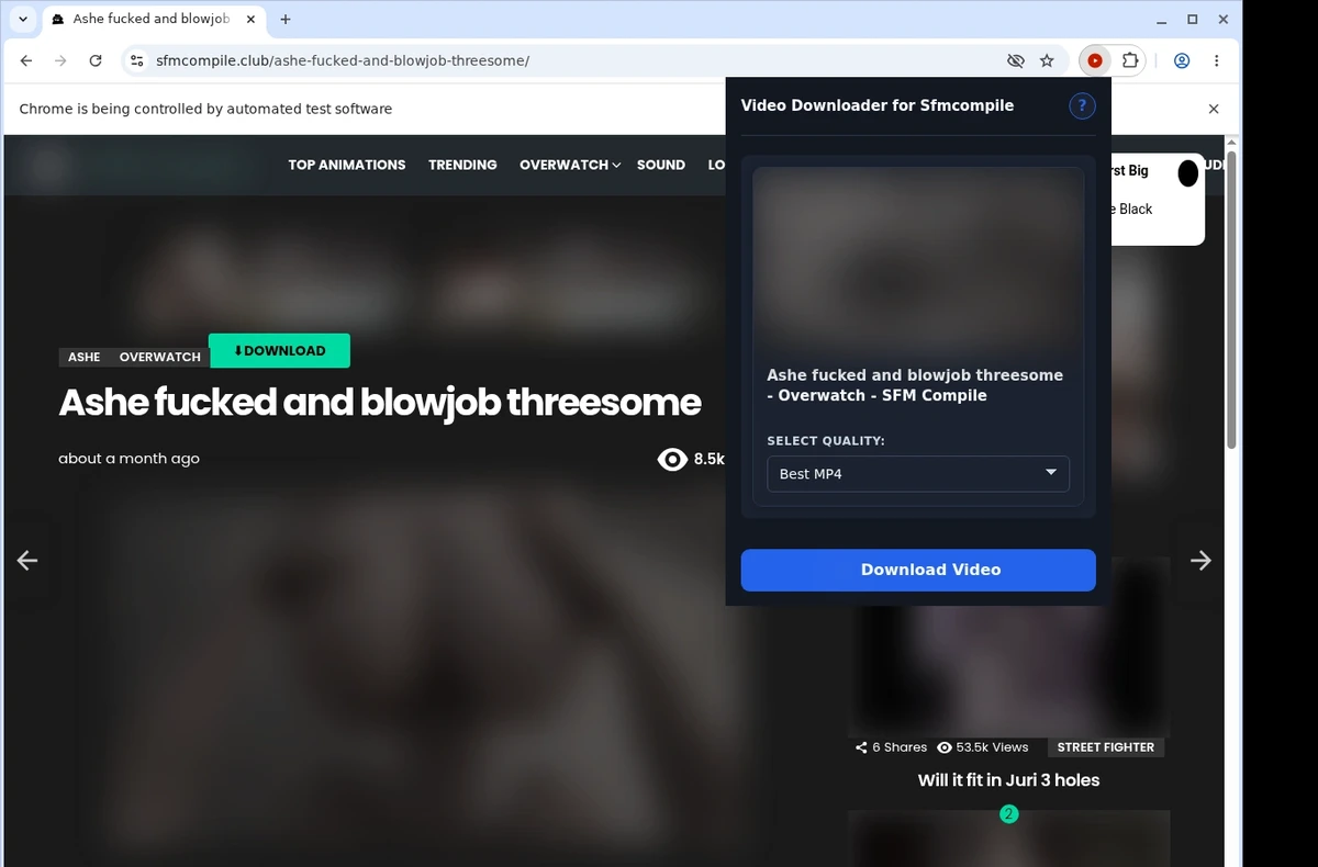 SFMCompile Video Downloader ready state screenshot