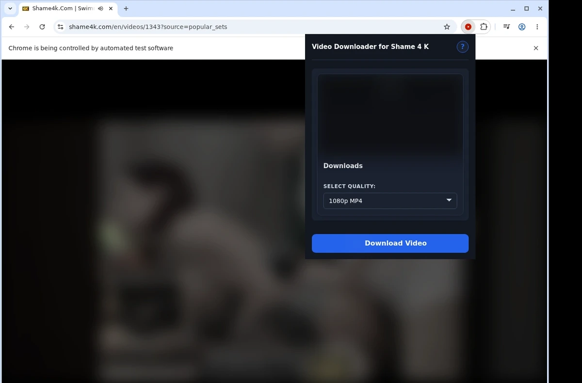 Shame4K Video Downloader ready state screenshot