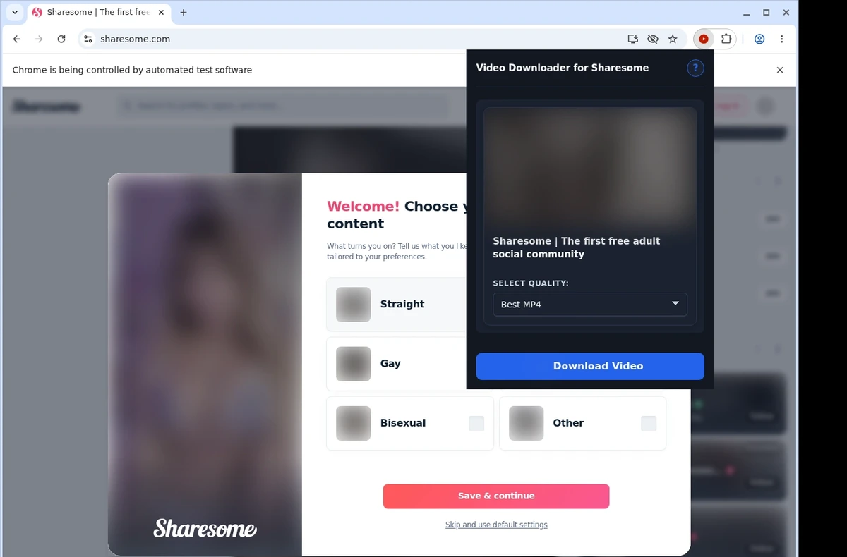 Sharesome Downloader ready state screenshot