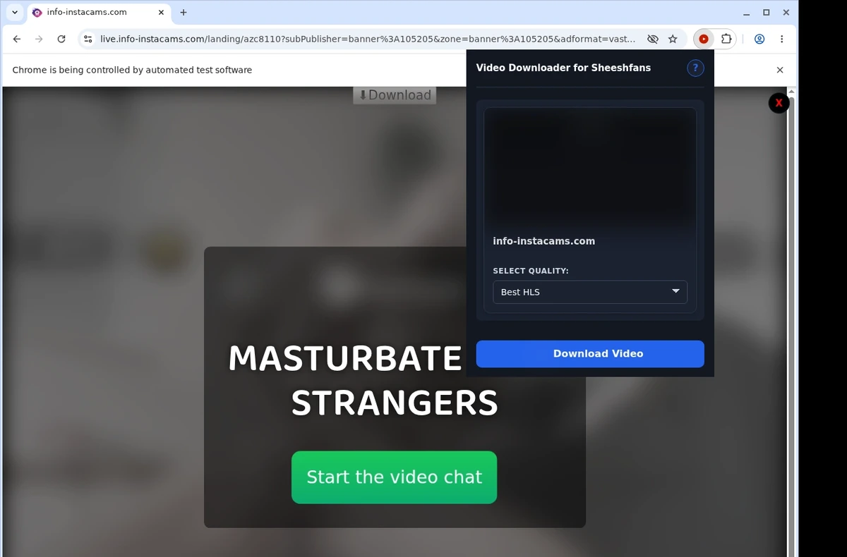 SheeshFans Downloader ready state screenshot