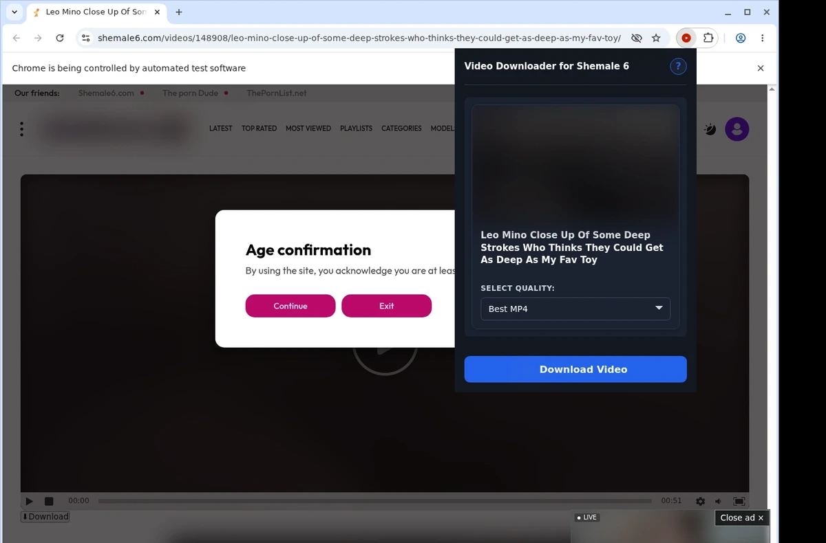 Shemale6 Video Downloader ready state screenshot