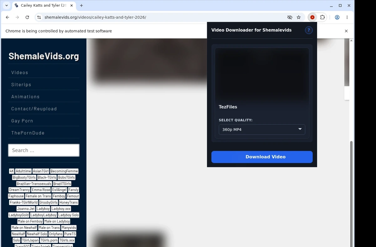 ShemaleVids Video Downloader ready state screenshot