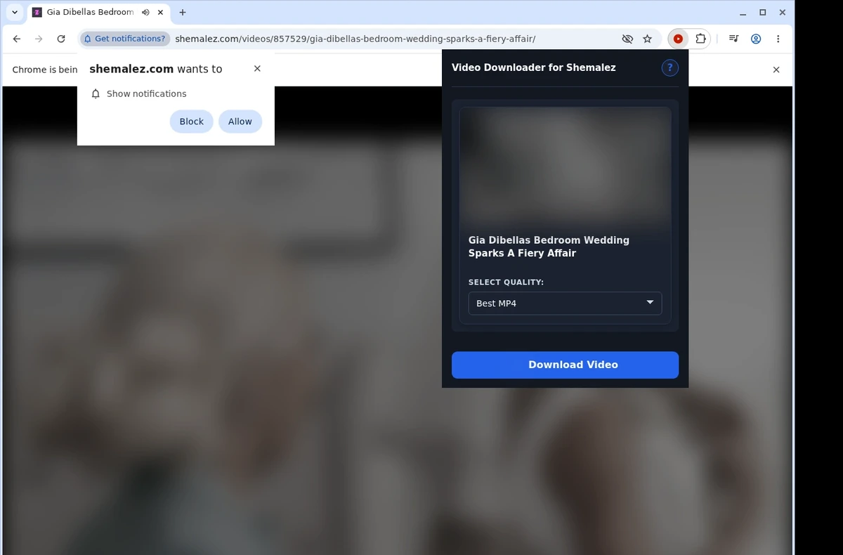 Shemalez Video Downloader ready state screenshot