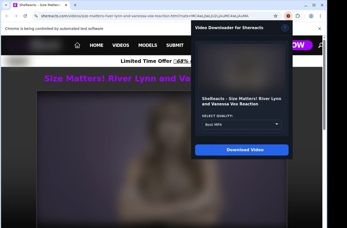 SheReacts Video Downloader ready state screenshot