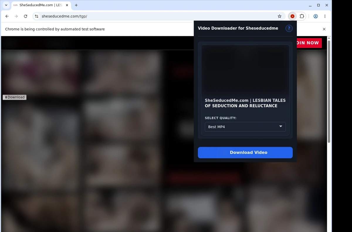 SheSeducedMe Video Downloader ready state screenshot