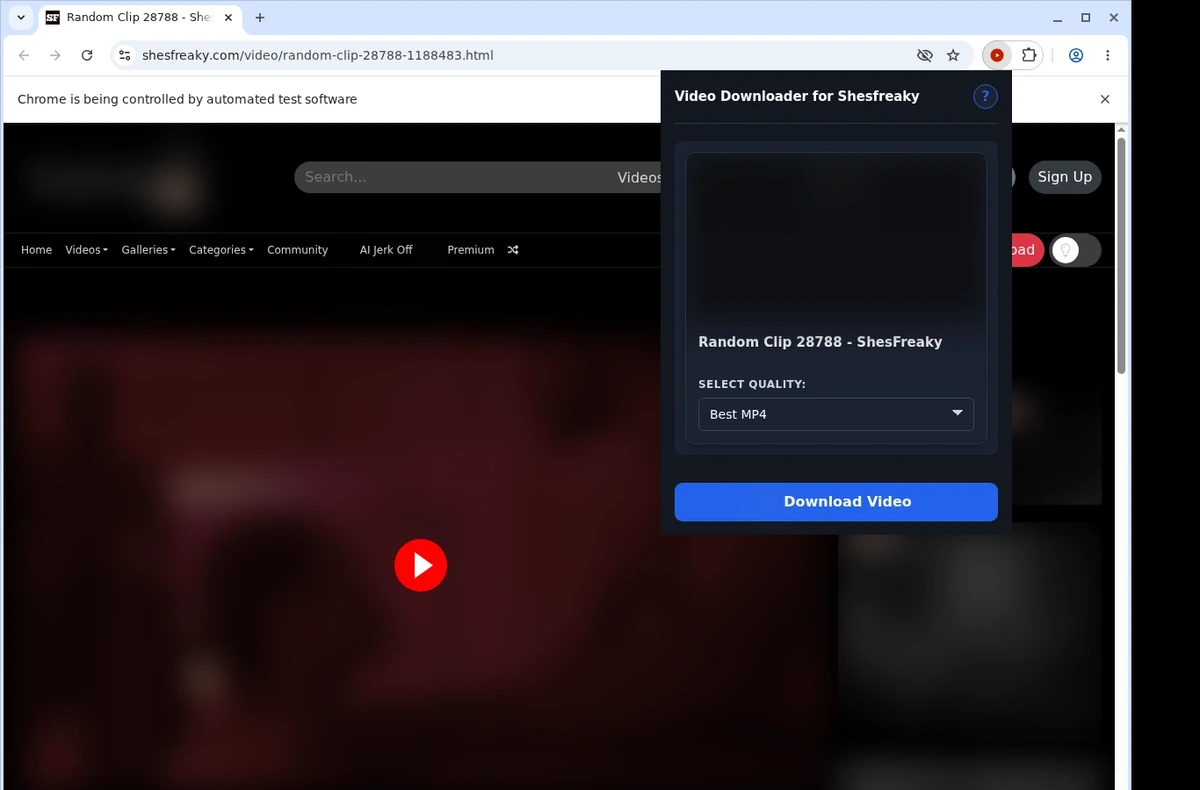 ShesFreaky Video Downloader ready state screenshot