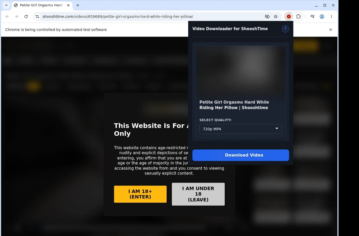 ShooshTime Downloader Download ShooshTime Videos 