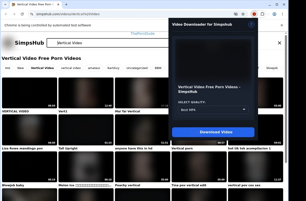 SimpsHub Video Downloader ready state screenshot