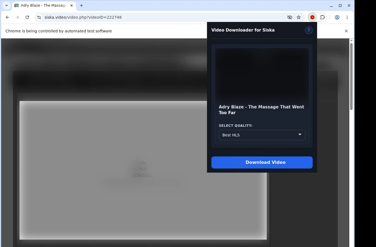 Siska Video Downloader ready state screenshot