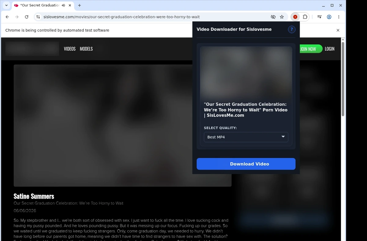SisLovesMe Video Downloader ready state screenshot