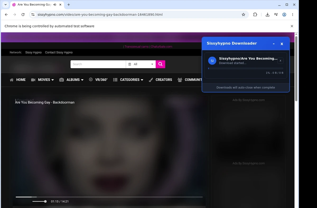 SissyHypno Video Downloader ready state screenshot