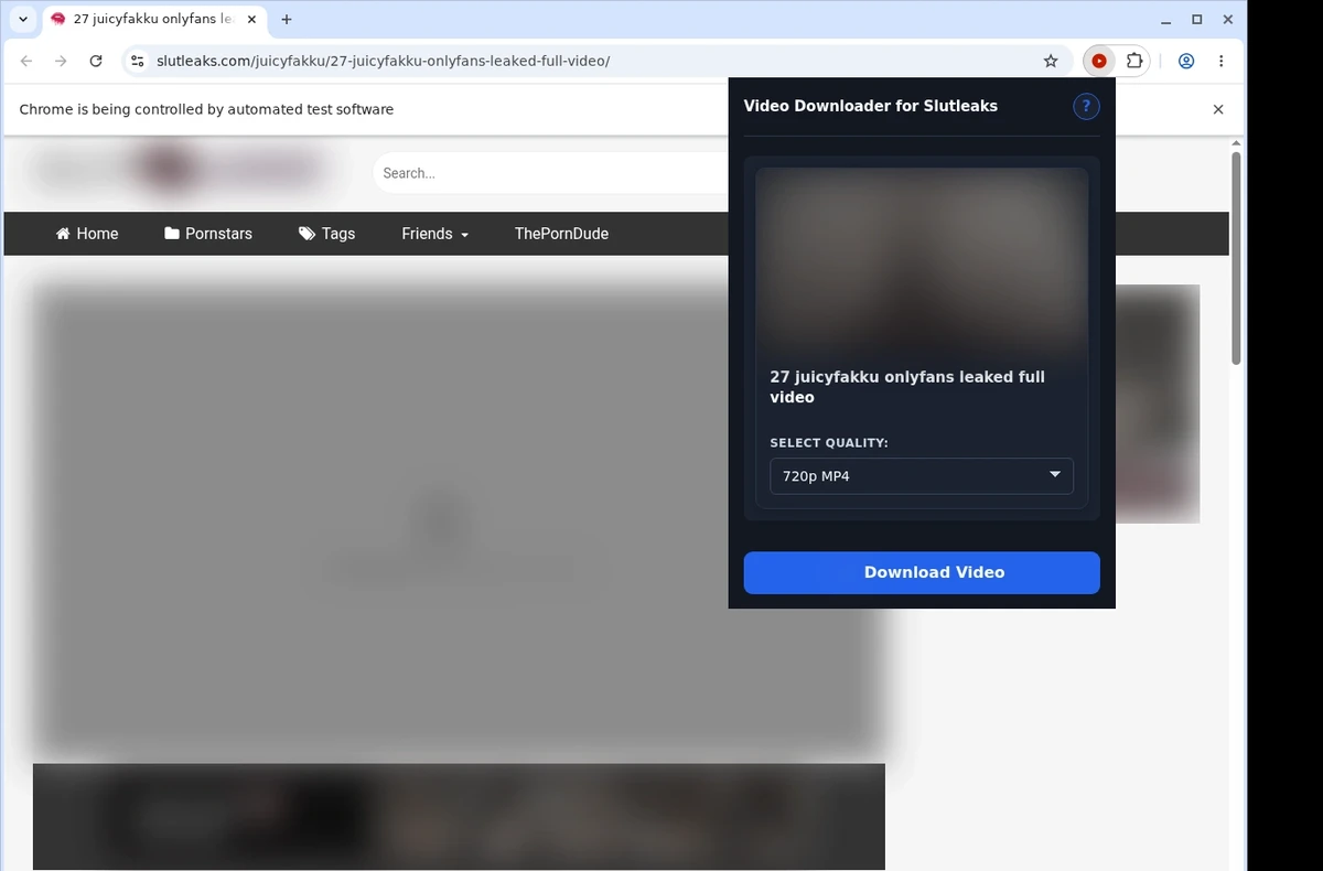 SlutLeaks Video Downloader ready state screenshot