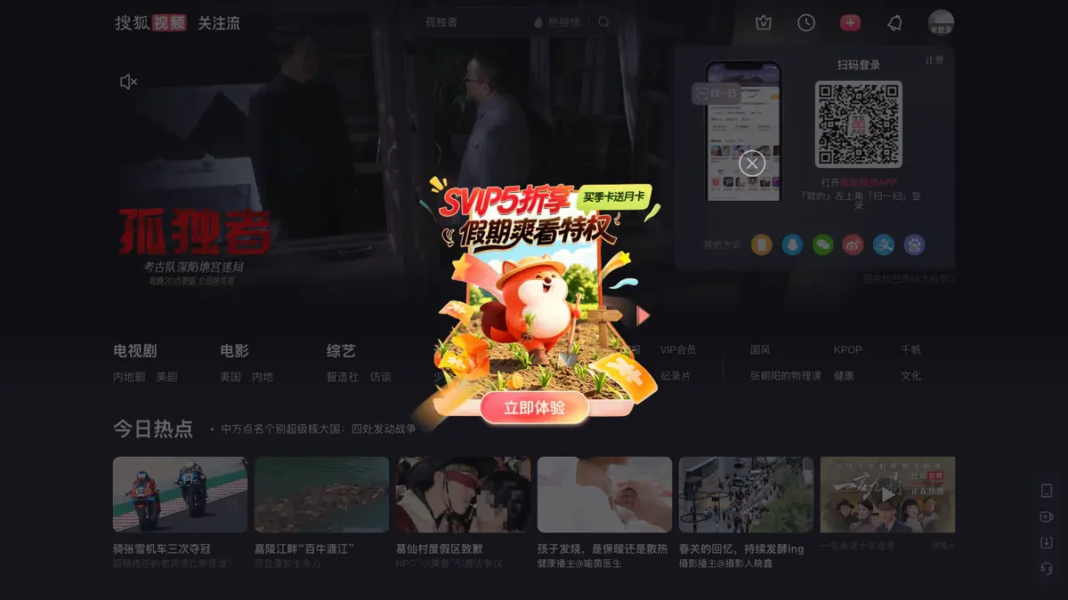 Sohu TV Downloader website preview