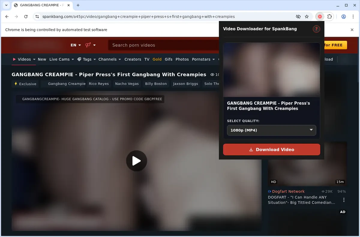SpankBang Video Downloader fullscreen screenshot