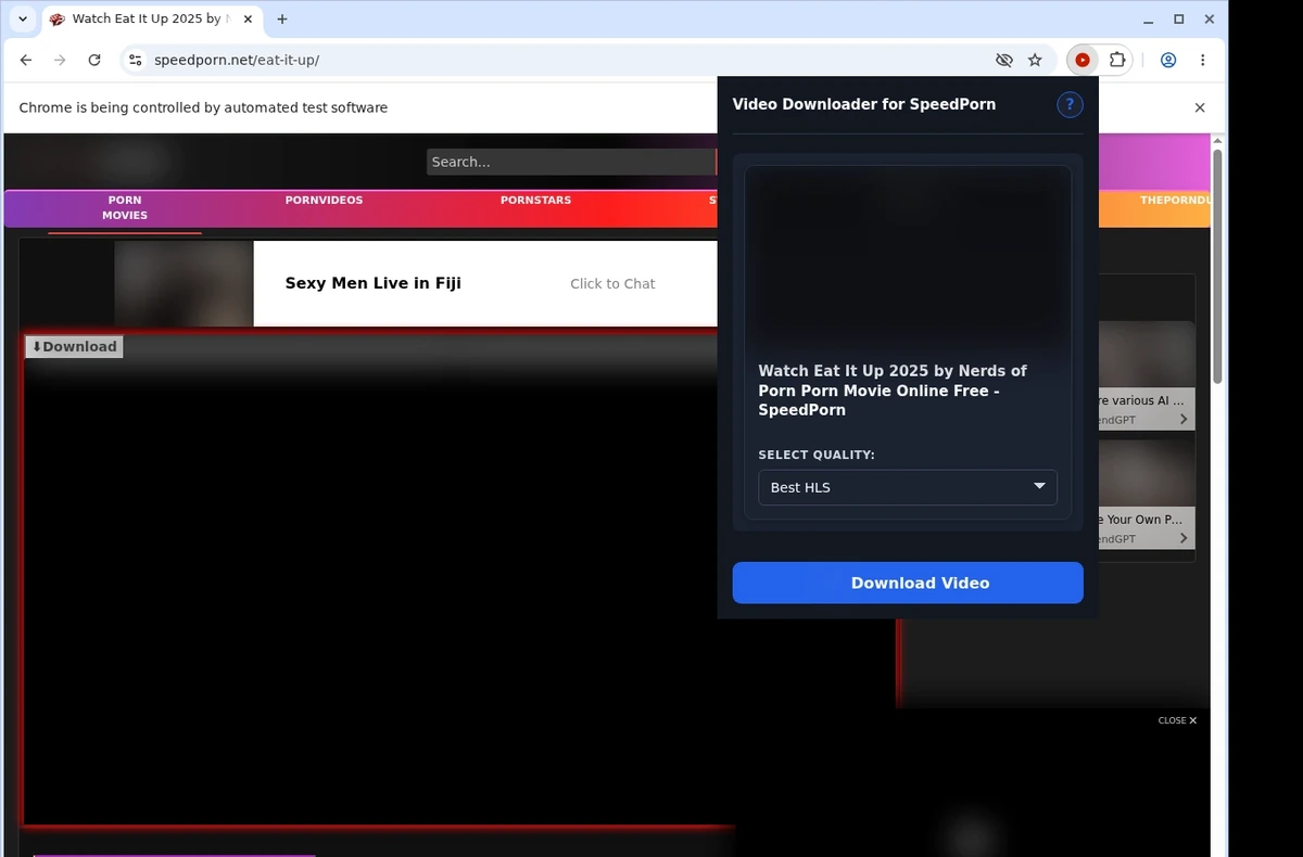 SpeedPorn Video Downloader ready state screenshot