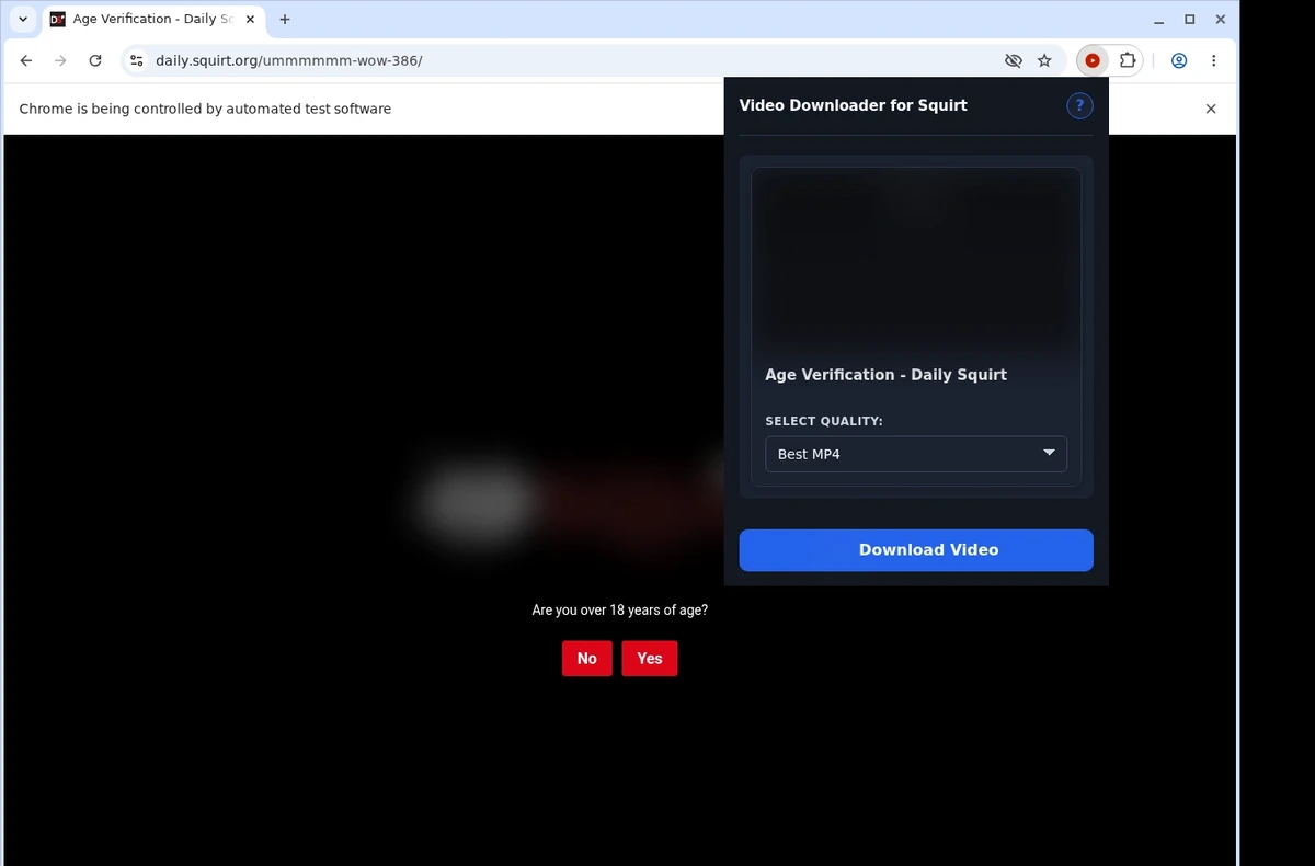 Squirt Downloader ready state screenshot