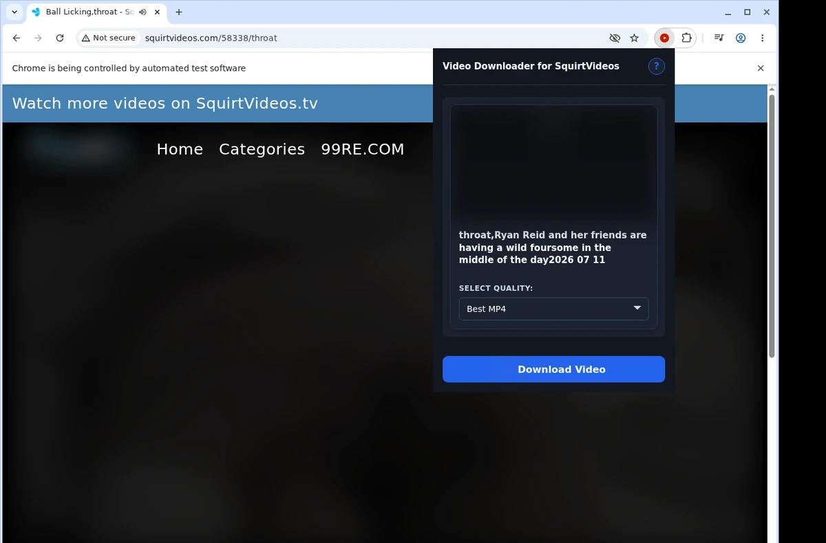 SquirtVideos Video Downloader ready state screenshot