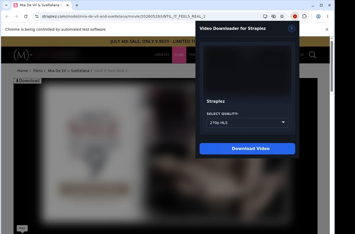 Straplez Video Downloader ready state screenshot