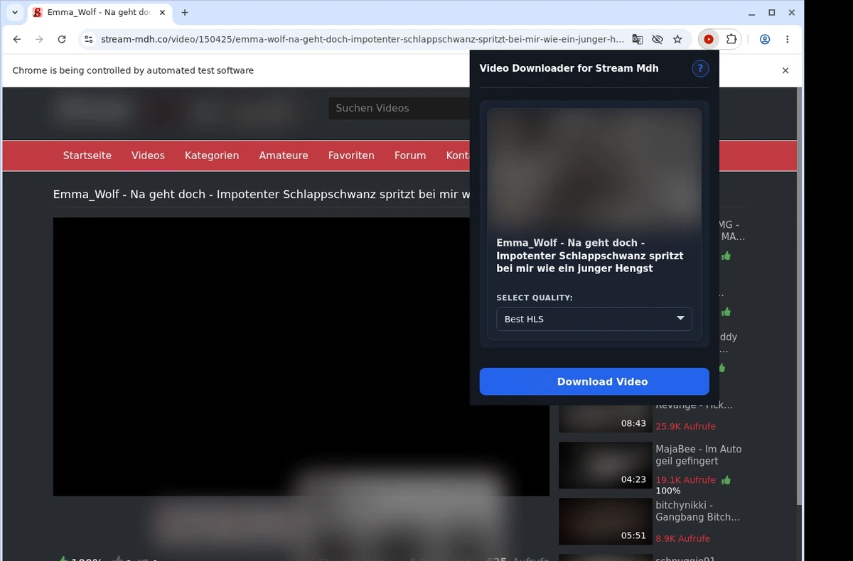 StreamMDH Video Downloader ready state screenshot