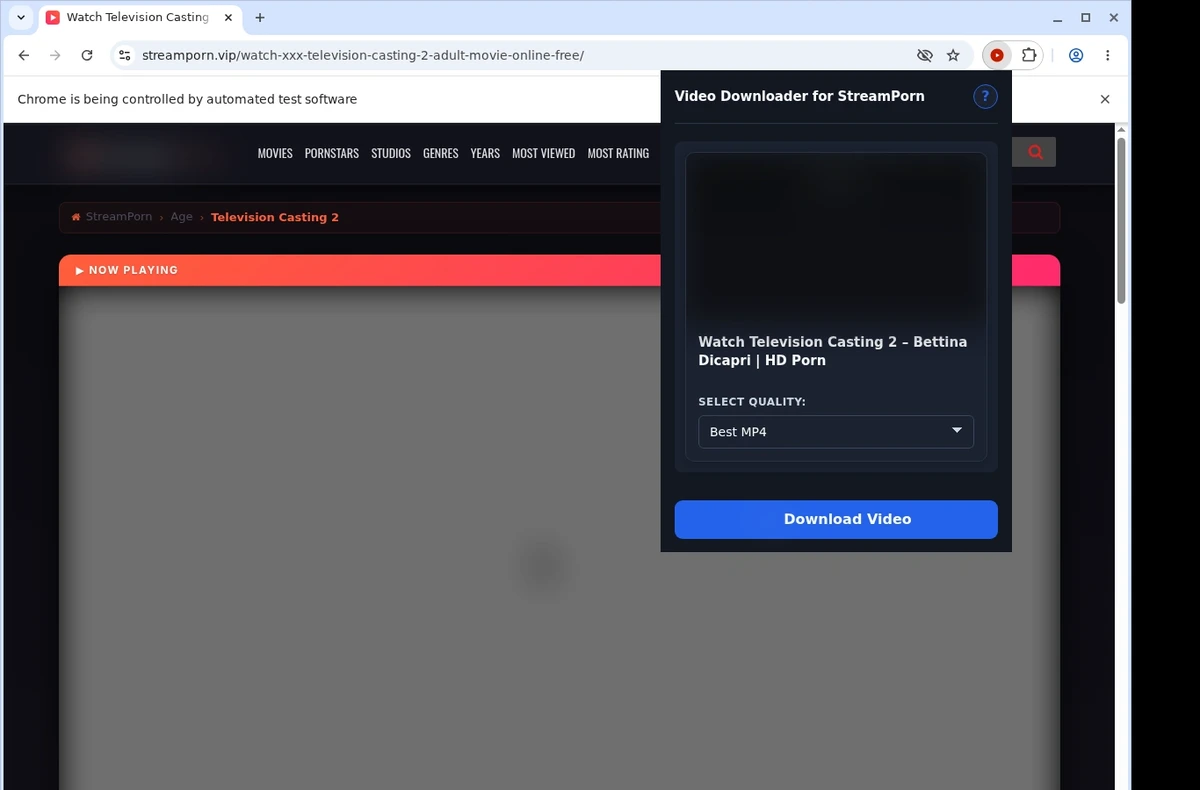 StreamPorn Video Downloader ready state screenshot