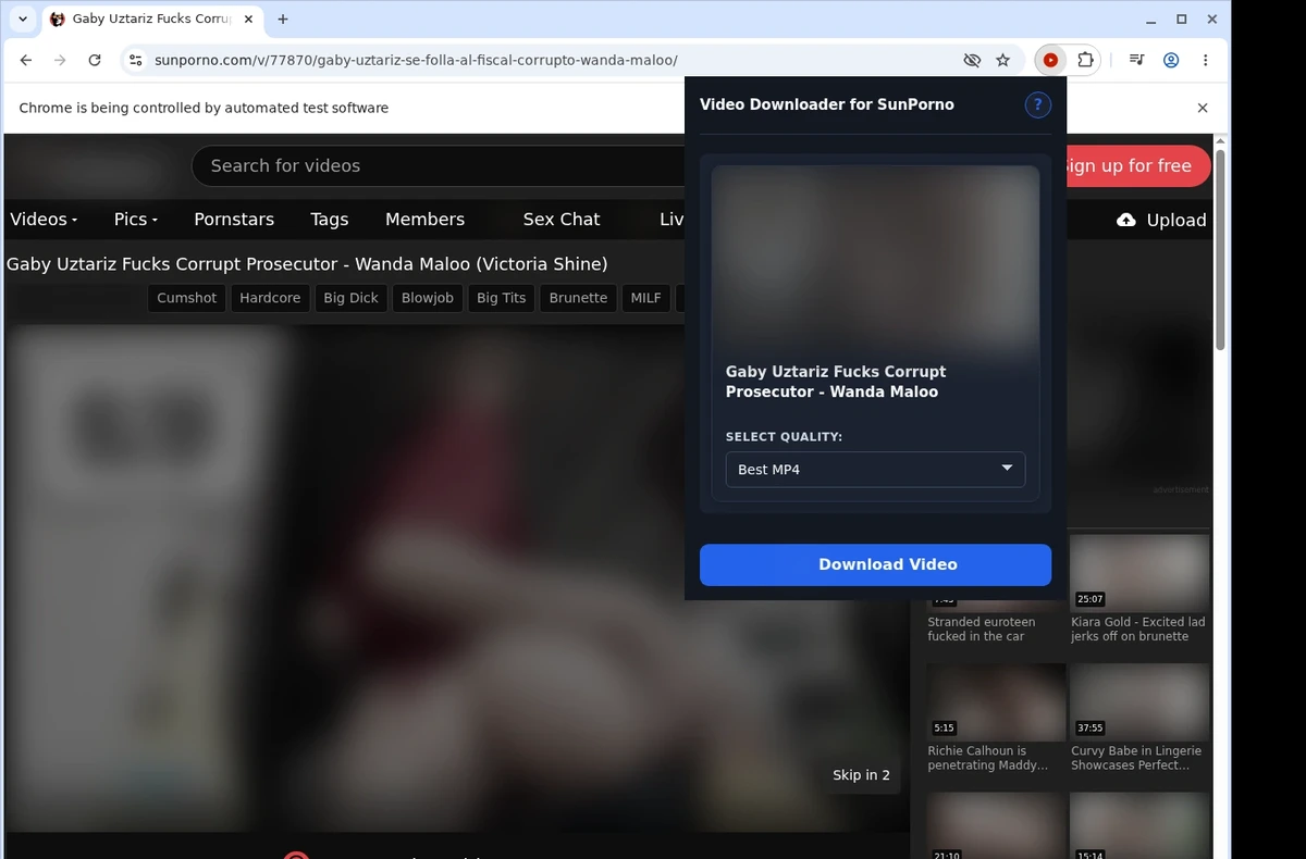 SunPorno Video Downloader ready state screenshot