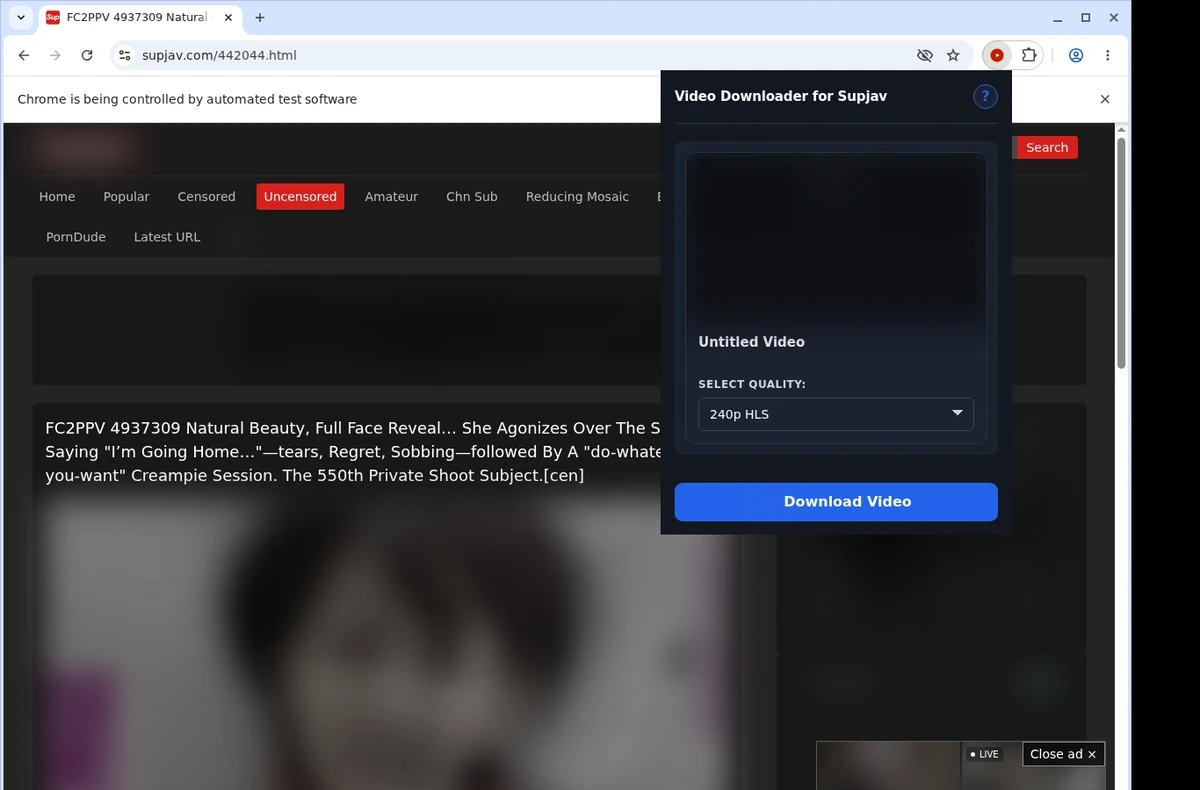 Supjav Downloader ready state screenshot